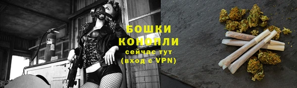 стаф Вязьма