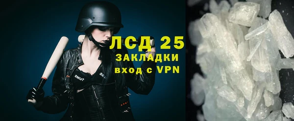 стаф Вязьма