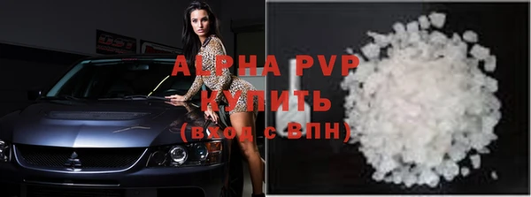 стаф Вязьма