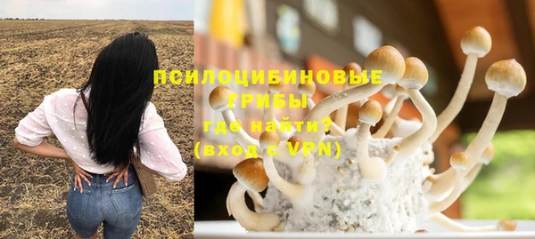 ГАЛЛЮЦИНОГЕННЫЕ ГРИБЫ Ессентукская
