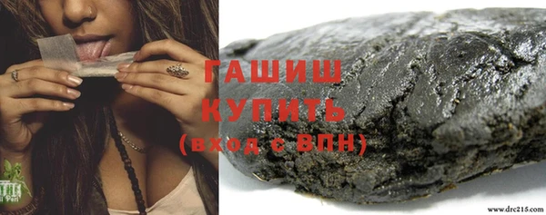 стаф Вязьма
