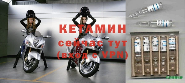 стаф Вязьма