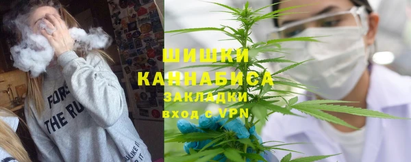 стаф Вязьма