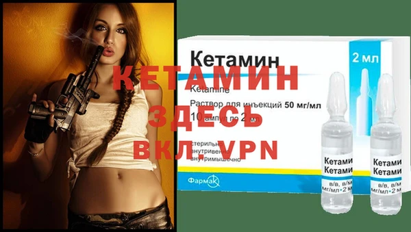 стаф Вязьма