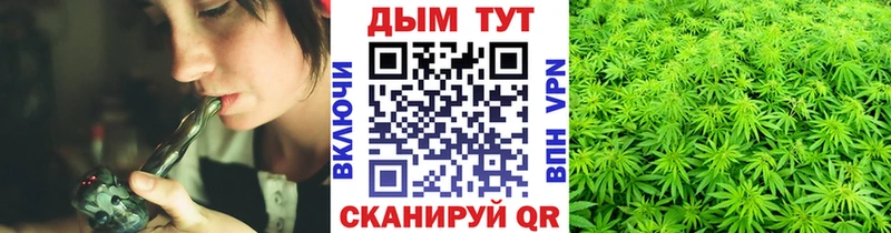 Канабис OG Kush Куровское